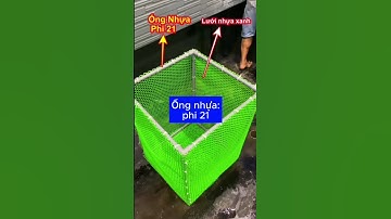 Những chú ý khi làm ngăn kaldnes hồ cá koi #hocakoi #hokoi #shorts #short