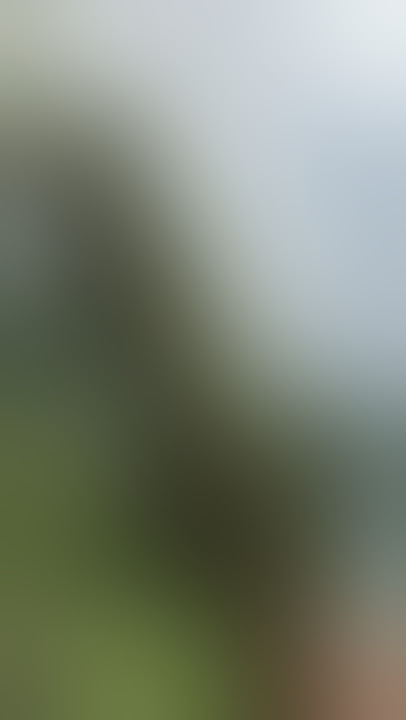 The wild marijuana, in high altitude