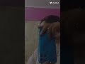 مخطوط تشكيل