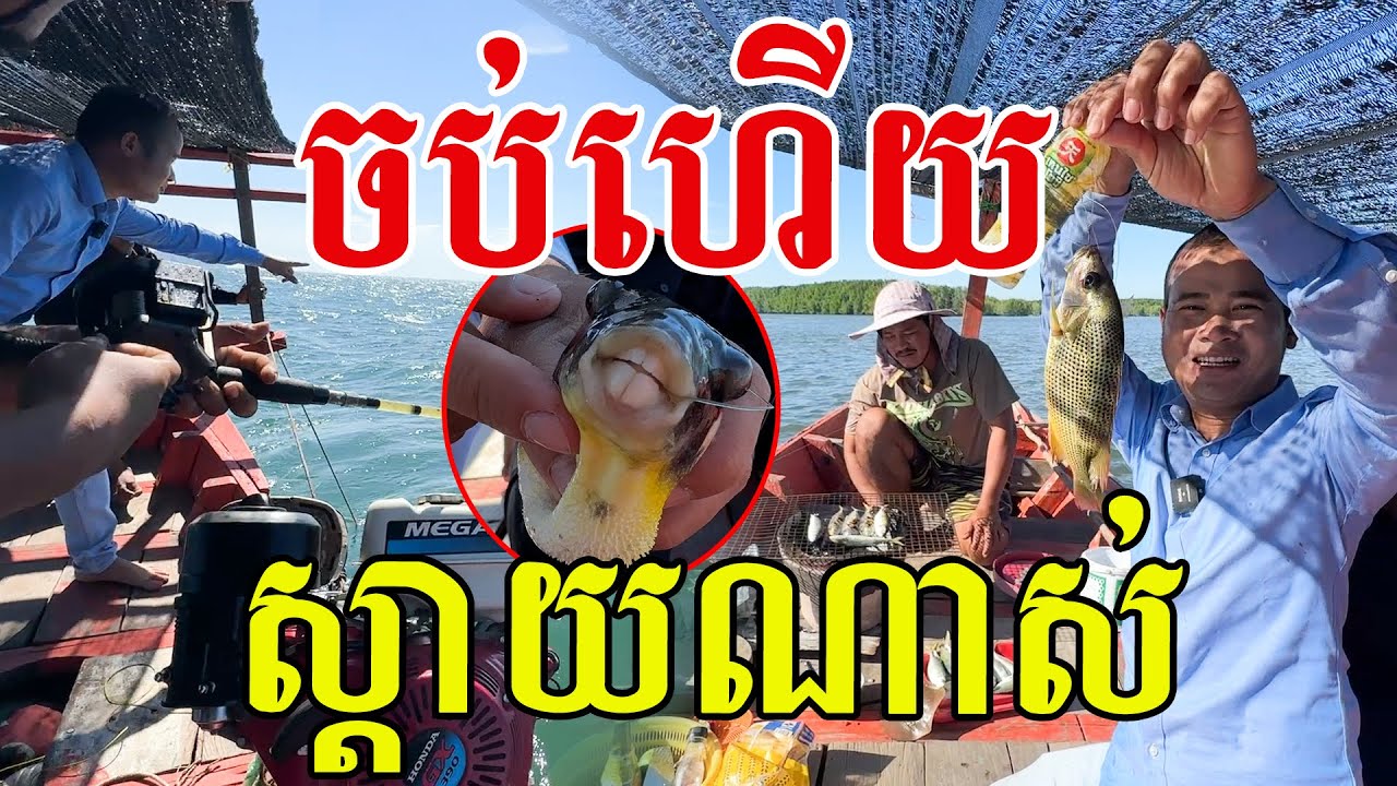 ដាក់បានៗ ត្រីធំៗល្អណាស់ ធម្មជាតិសមុទ្រស្រស់បំព្រង