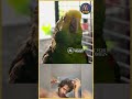 Vikram-மின் கிளி இவ்வளவு அழகா பேசுதே🦜❤️
