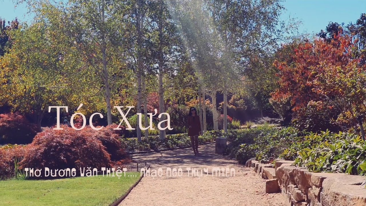 Tóc Xưa...nhạc Ngô Thụy Miên; thơ Dương Văn Thiệt...