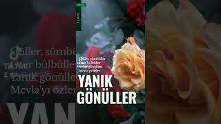 Yanık Güller - Mehmet Emin Ay / 1990 - Beyza Müzik