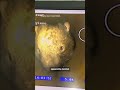 Curious Critter Caught Blocking Pipe During Inspection