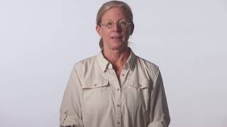 Why Middlebury Language Schools?