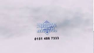 Independent Pest Control | Animated Logo