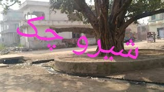 Chak Shero Village Androny Manzir Tanda Gujrat 13 February 2021