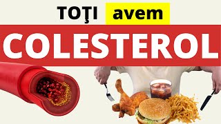 Totul despre COLESTEROL + Regim Colesterol Marit