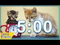 Kitten Day Timer with Music 🐱 (5 Minutes)