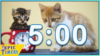 Kitten Day 5 minute Timer with Music!