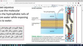 Biology Masters - Chapter 8:1 by Ibrahim Al-Sawalha