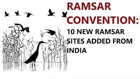 JANUARY2020 PART 2 ENVIRONMENT THE HINDU COVERAGE