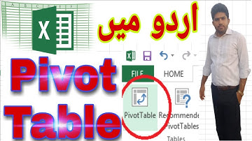 Pivot Table in Urdu for Beginners |DAS Edu|musmanskp