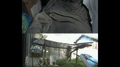 ぬこのこ Fast Youtube