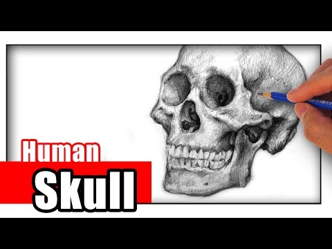 Video: How To Draw A Skull With A Pencil