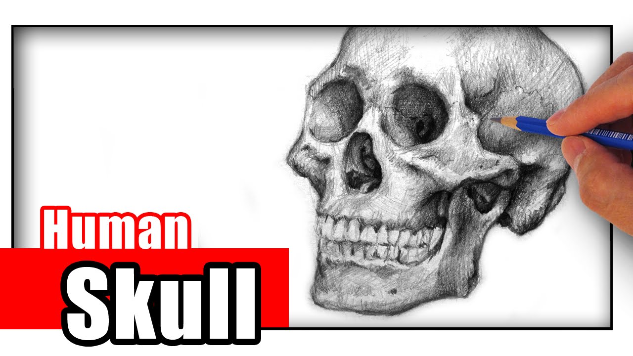 How to Draw a Skull - An Easy Simplified Front View - Let's Draw That!