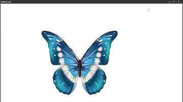 How to animate a butterfly - Animate cc - Learn animation