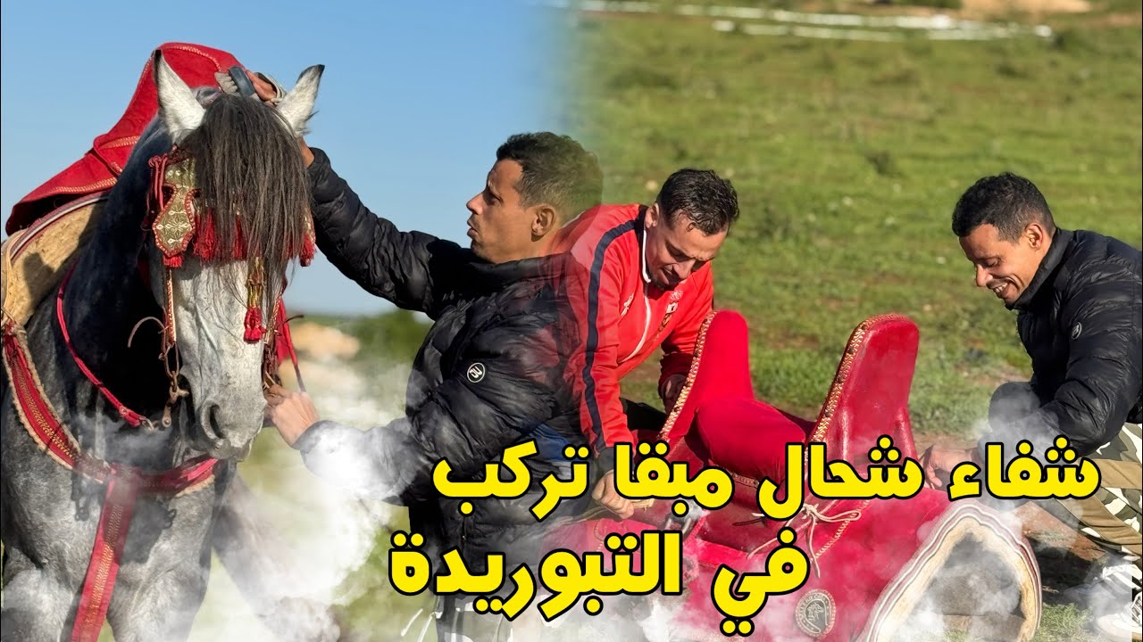 شفاء شحال مابقى تركب في تبوريدة الحرارة