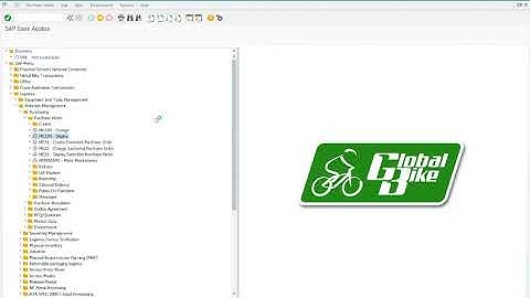 MM   Step 20 Display Purchase Order History