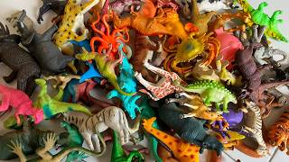ASMR Animal & Dinosaur Toys | Satisfying Tapping and Dropping | No Talking