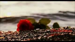 ♫♥*´¨`*•.¸¸.♫ Elisa & Tiziano Ferro -  E scopro cos'è la felicità