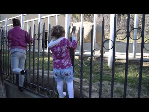 ზოოპარკში - ბარბარე სამი წლის, 2014, მარტი