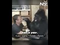 Robin Williams Made a Grieving Gorilla Laugh Again 🦍❤️