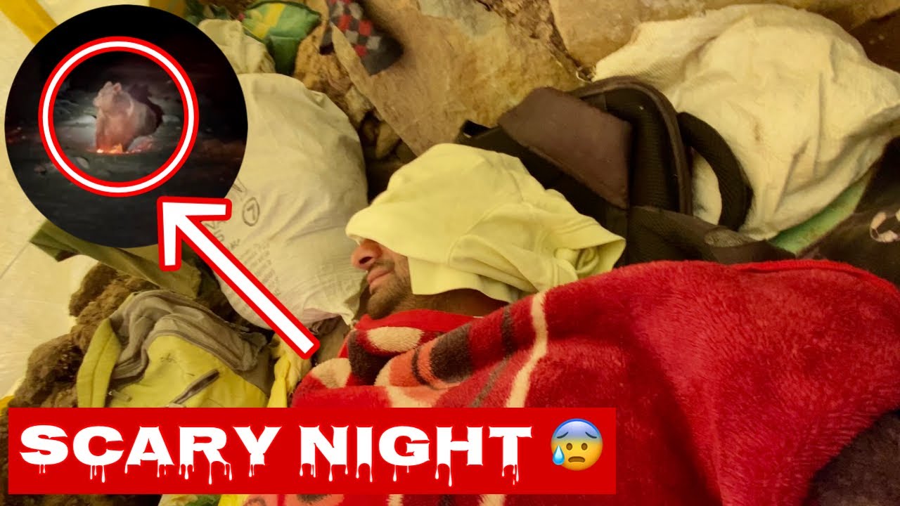 Night camping gone wrong 😭 || Moments || wild encounter.