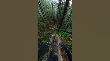 Attempting a Crazy Drop in the forrest! #mtb #mountainbiking #gopro