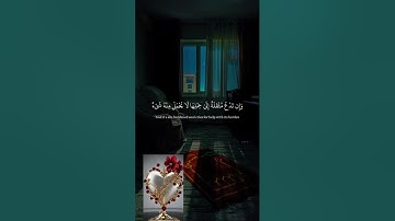 سورة فاطر الآية 15 يَا أَيُّهَا النَّاسُ أَنتُمُ الْفُقَرَاءُ إِلَى اللَّهِ وَاللَّهُ هُوَ الْغَنِيُ