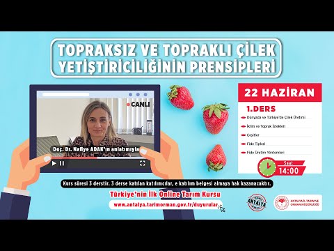 Video: Tınlı toprak: özellikleri, avantajları, dezavantajları, bitkiler