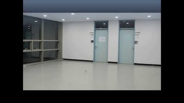 Insect-like tailless flapping-wing MAV