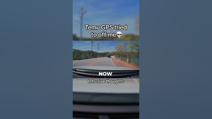 POV : You Buy Gps From Temu💀 | #meme