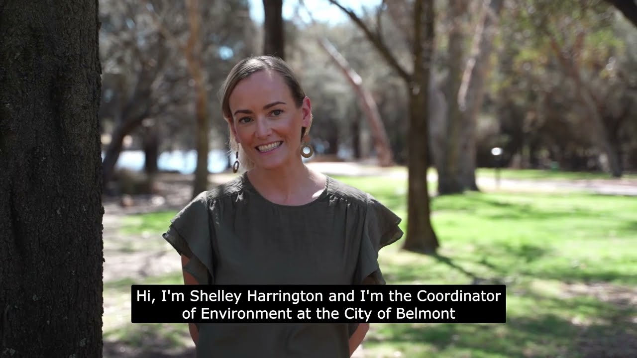 The importance of our urban forest | City of Belmont - YouTube