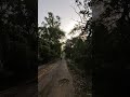 shorts #viral_video #shortsfeed