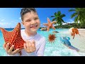 Bug hunt in the ocean family fun beach day caleb  dad play in the sand and find sea creatures