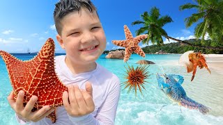 BUG HUNT in the OCEAN!! FAMILY FUN BEACH DAY! Caleb & Dad Play in The Sand and Find Sea Creatures!