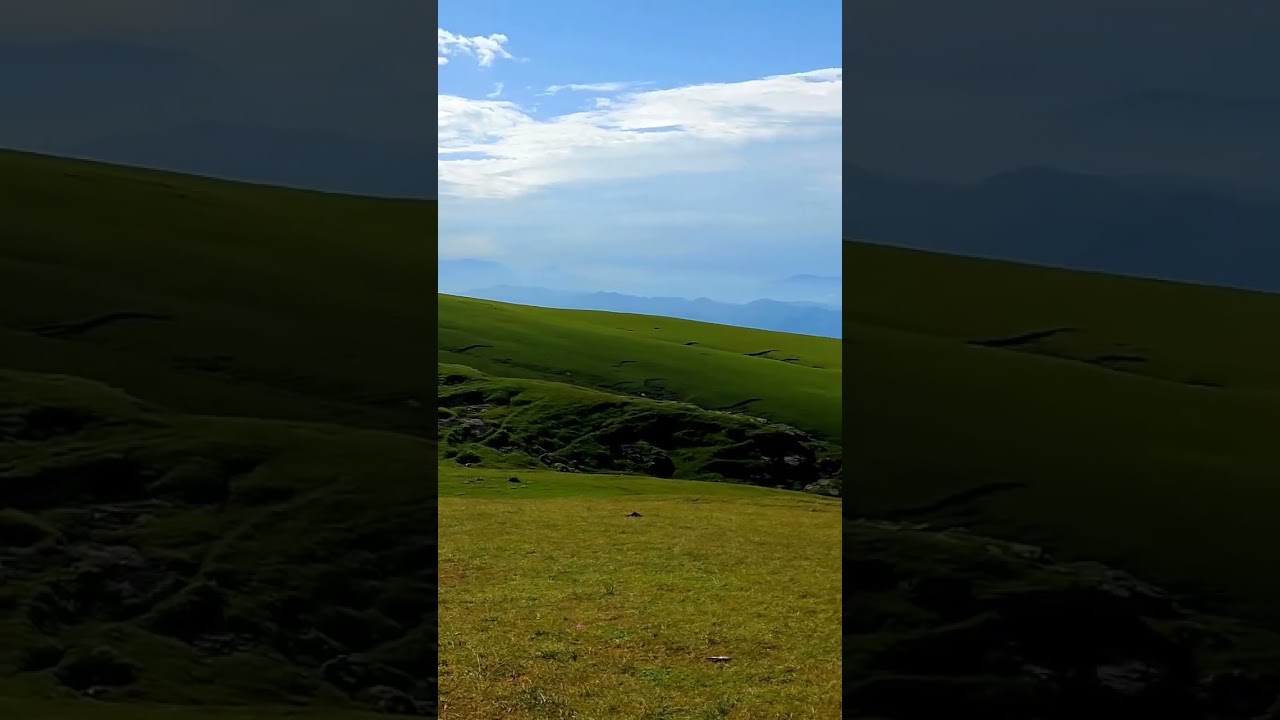 tolipeer camping  |camping  life 