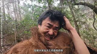 冬季荒野求生81天（36）翻山宿石洞 翻山越岭传素材，野猪留痕石洞扎营#野外生存 #荒野求生 #户外露营 #户外 @胡三浪