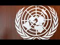 Labor under pressure over Palestine UN vote