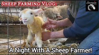 A Night With A Sheep Farmer!