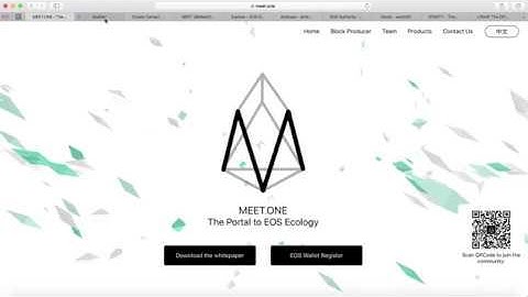 EOS Launches | $EOS Wallet By Meet.one | Scatter $EOS Wallet | eosDAC | Bee Token