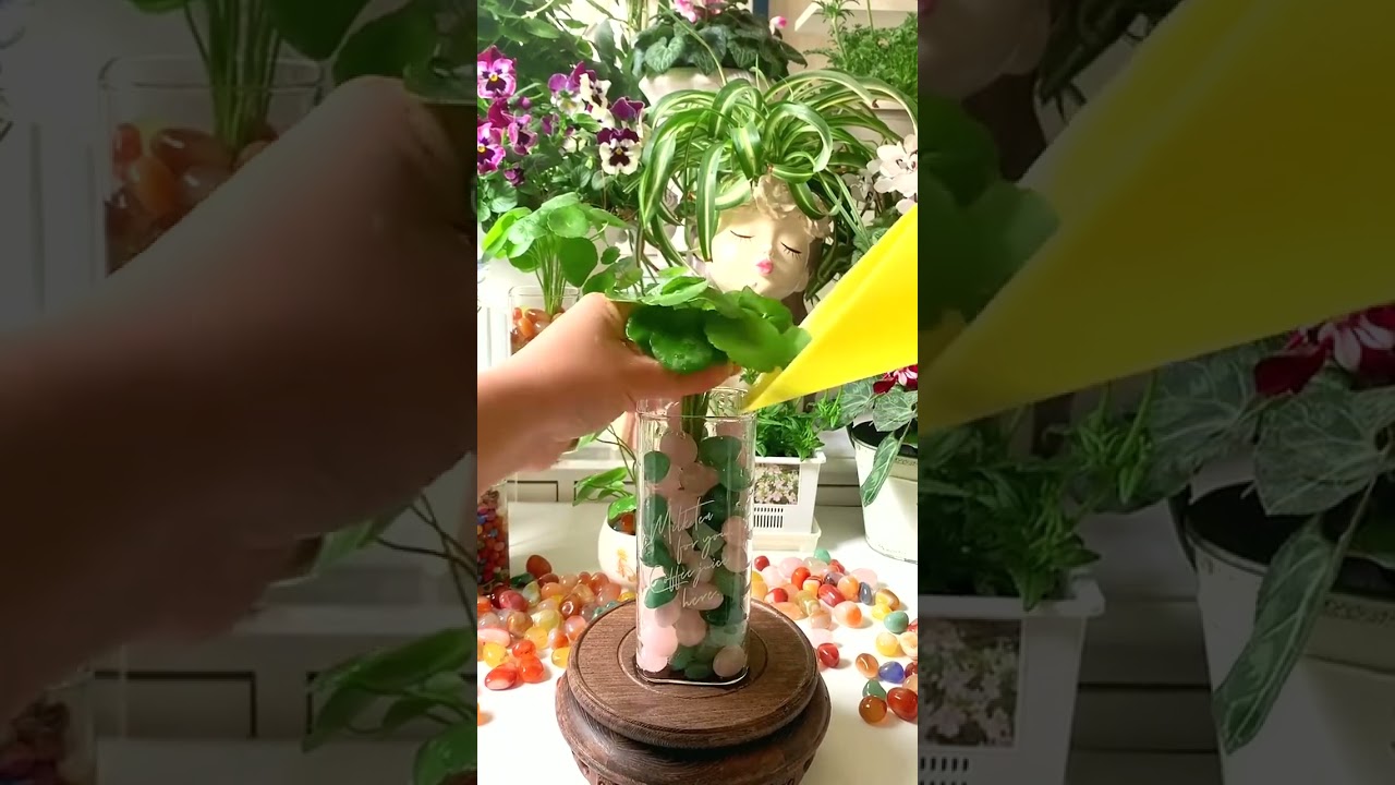 2819 🥜🌱🧅🥀🏵 