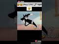دكتوري مالي العين