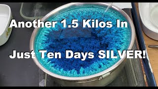 Silver Cell Number 2 HARVEST Part2 by sreetips 16,061 views 2 months ago 16 minutes