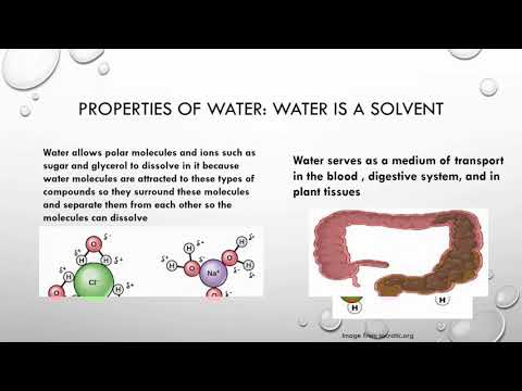 Chapter 2.4: Biological