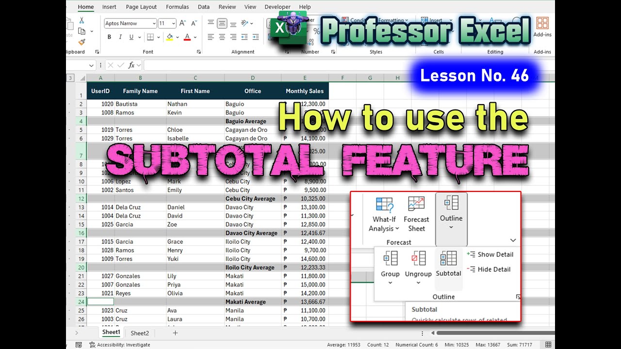 Lesson No 46 How to use the SUBTOTAL Feature in Excel - YouTube