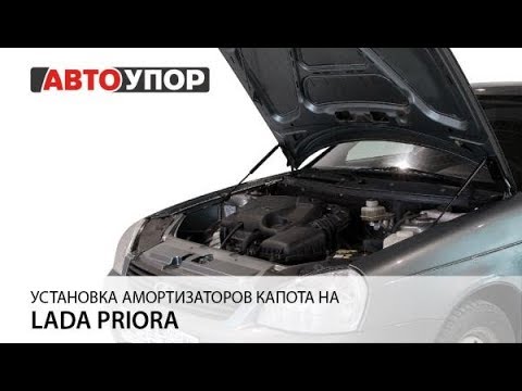 Купить газовые упоры на ВАЗ , , для капота и багажника | Интернет-магазин Motorring