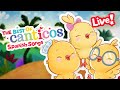 🔴Canticos Best Hits 💛 | LIVE | Spanish Songs for Kids🎵🎵 | Learn Spanish | Canticos #animals #song