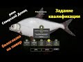 Русская рыбалка 4 - река Северский Донец - Белоглазка: Задание квалификации фидер 3-3